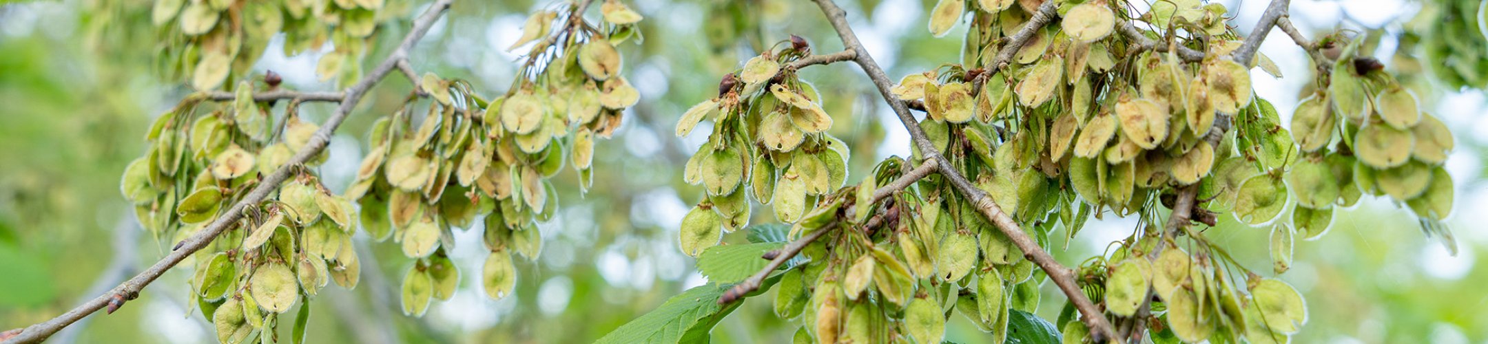 Veel gestelde vragen