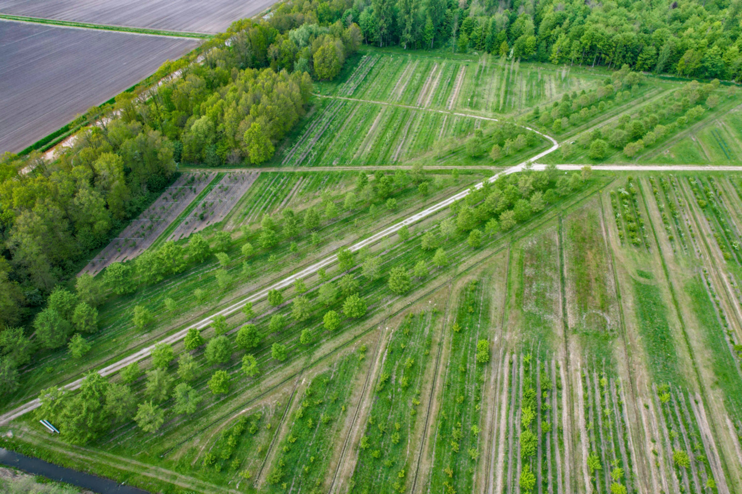 Bovenaanzicht van de Genenbank. Foto door Martijn Tiemens