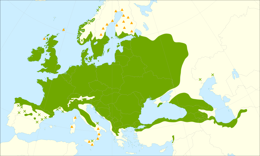 This distribution map has been developed by the European Commission Joint Research Centre (partly based on the EUFORGEN map) and released under Creative Commons Attribution 4.0 International (CC-BY 4.0)