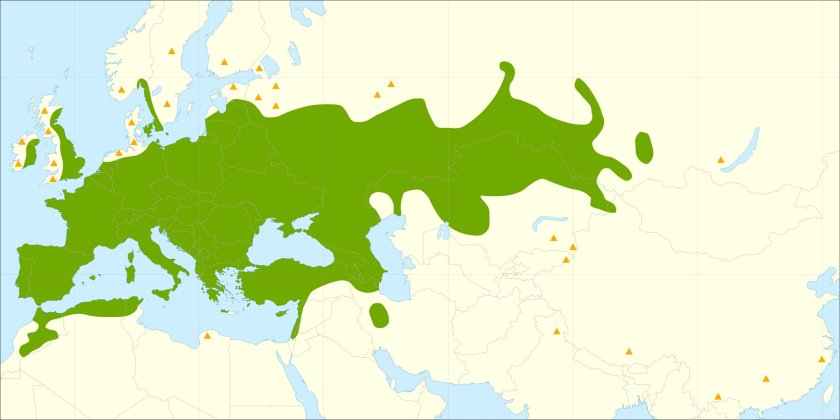 This distribution map has been developed by the European Commission Joint Research Centre (partly based on the EUFORGEN map) and released under Creative Commons Attribution 4.0 International (CC-BY 4.0)