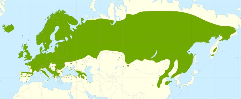 This distribution map has been developed by the European Commission Joint Research Centre (partly based on the EUFORGEN map) and released under Creative Commons Attribution 4.0 International (CC-BY 4.0)