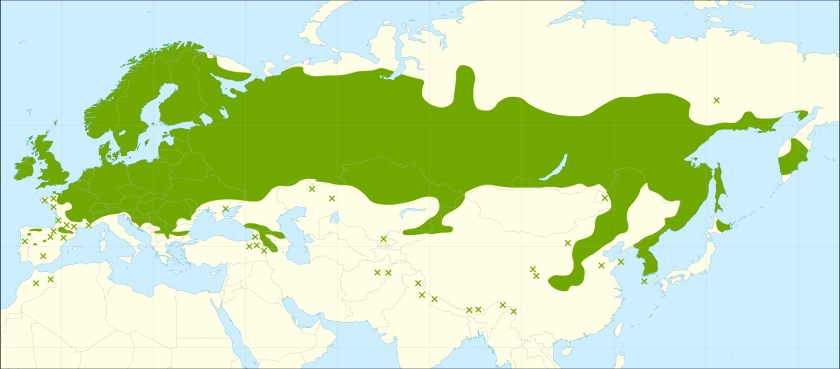 This distribution map has been developed by the European Commission Joint Research Centre (partly based on the EUFORGEN map) and released under Creative Commons Attribution 4.0 International (CC-BY 4.0)